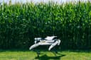 Robot Dogs Haul Crops While Humanoids Go Nonhuman: Best Robot Videos This Week